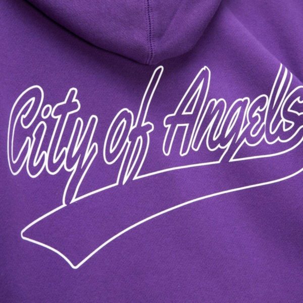 Толстовка мужская CHAMP CITY HOODIE FPHD3236-LALYYPPPPURP Los Angeles Lakers Purple