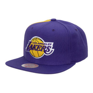 Бейсболка мужская HHSS2991 TAPESTRY SNAPBACK Los Angeles Lakers Purple HHSS2991-LALYYPPPPURP