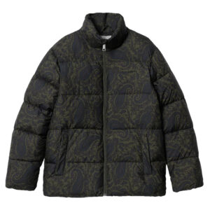 Куртка утепленная мужская CARHARTT WIP (PAIS,PLANT/BL) I032262
